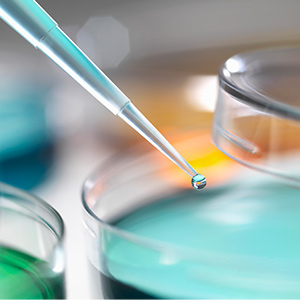 Sample filtration is a key step in the preparation of chromatographic samples.