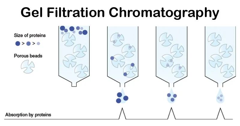 Top 9 methods for protein purification